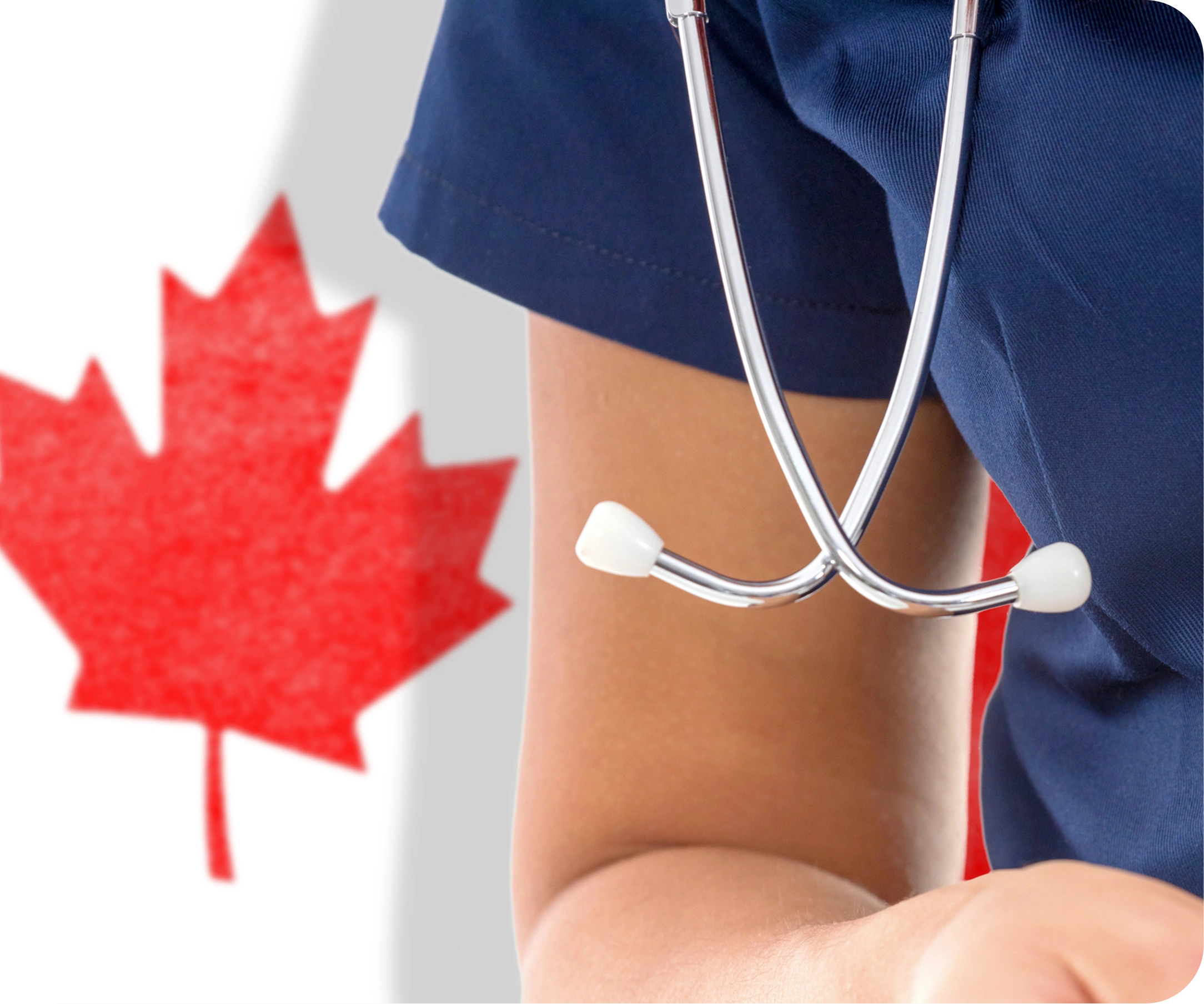 Image showing trusted migration consultants in Thodupuzha helping individuals achieve their Canadian and Australian visa dreams. Authored by Intelligen Immigration