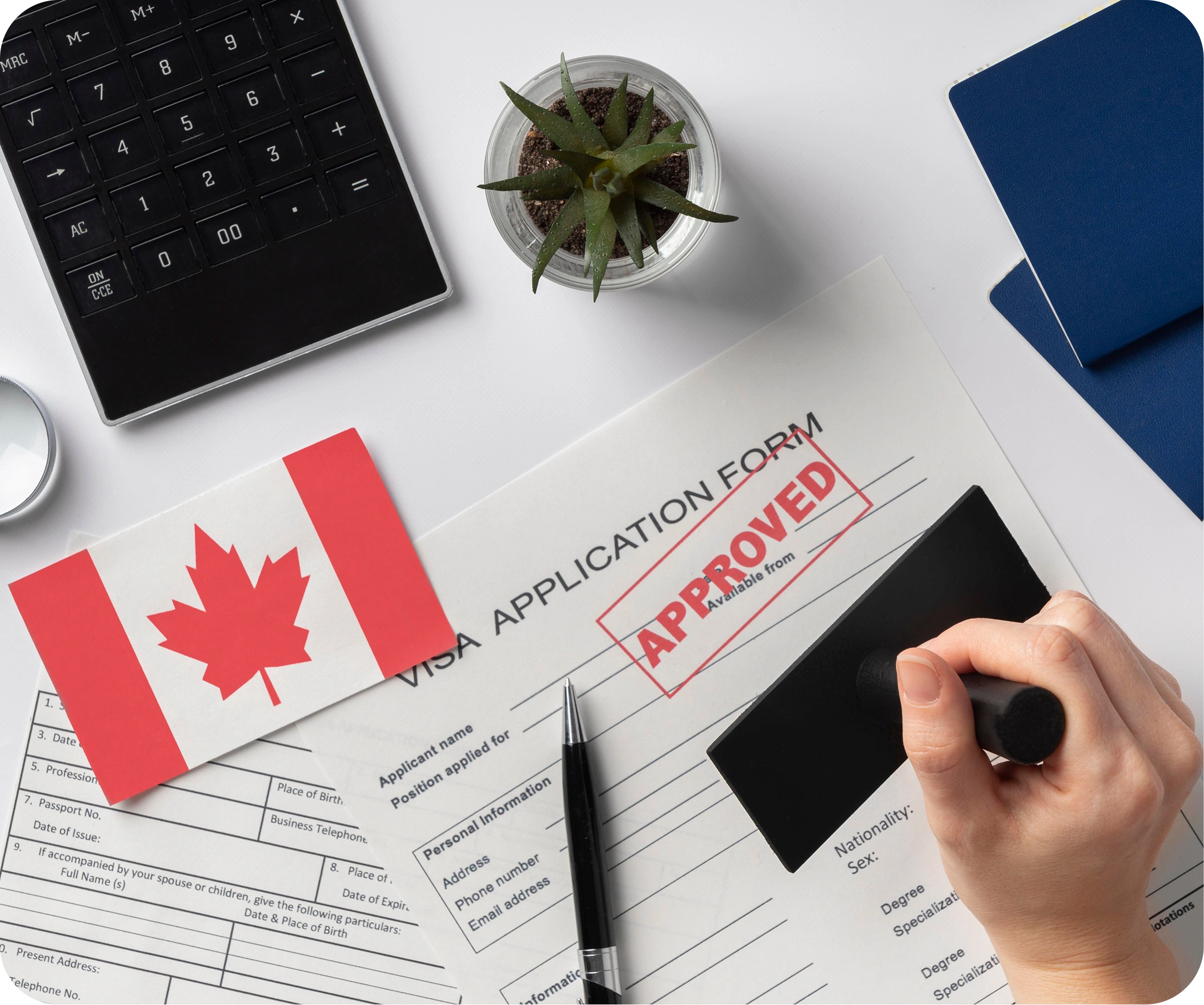 Image showing trusted migration consultants in Thodupuzha helping individuals achieve their Canadian and Australian visa dreams. Authored by Intelligen Immigration